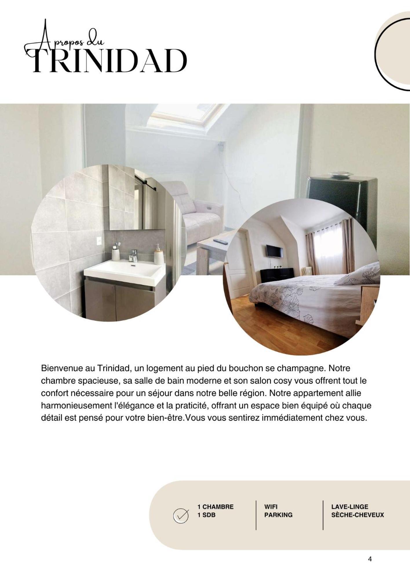 Apartament Le Trinidad Troyes Zewnętrze zdjęcie